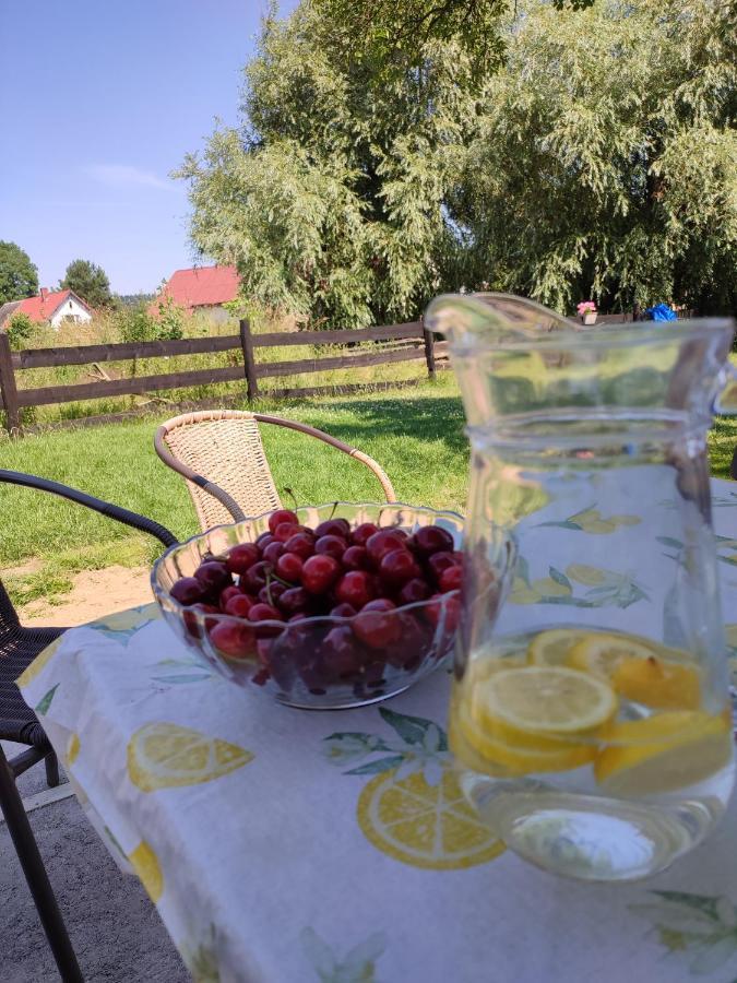Chata Na Karpackiej Kostrzyca Eksteriør bilde